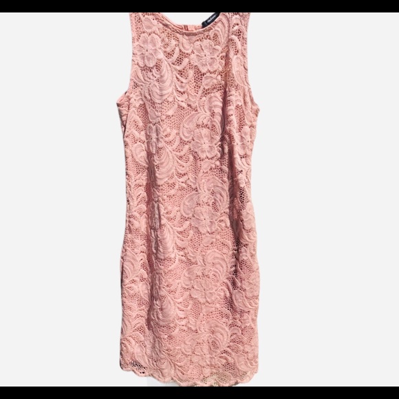 Ambiance Dresses & Skirts - Ambiance Sleeveless Dusty Rose Lace Dress Small
